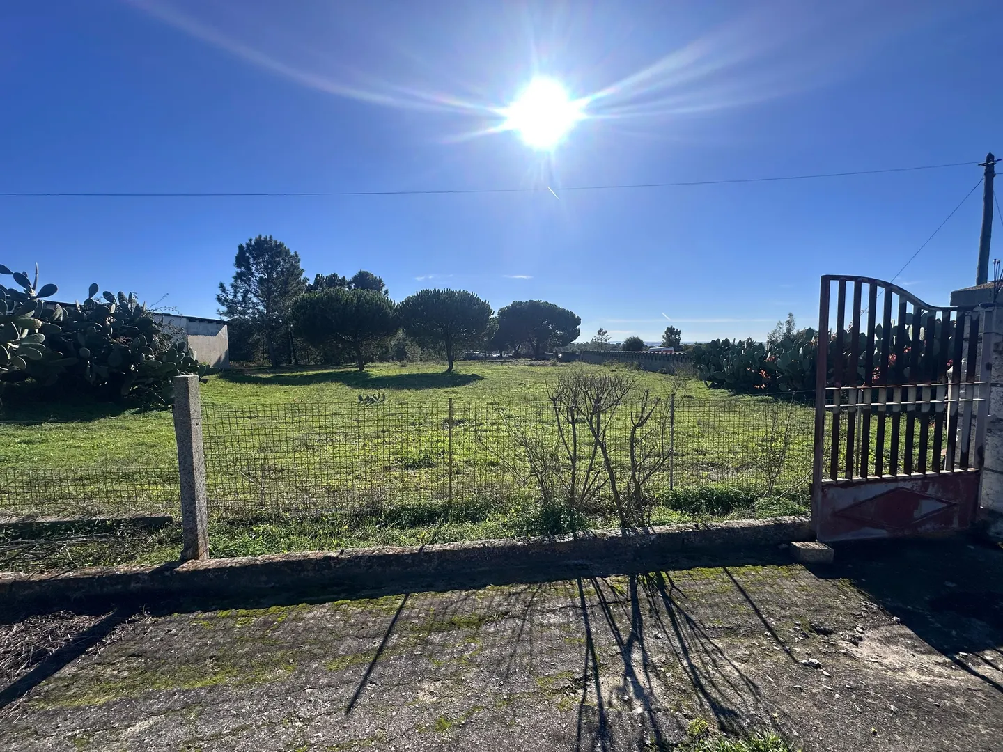 Terreno