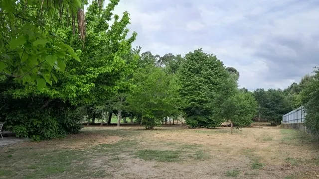 img_2