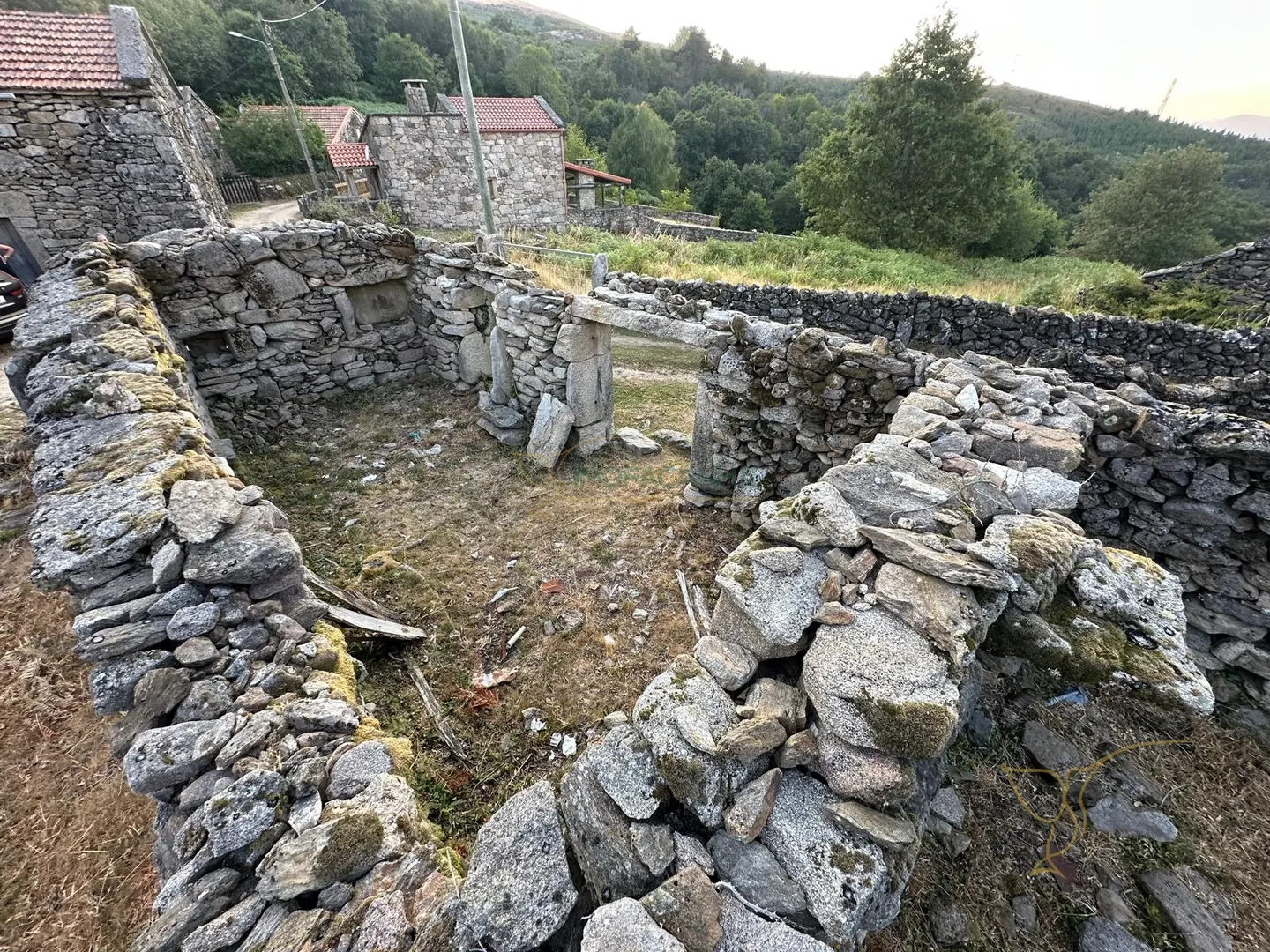img_3