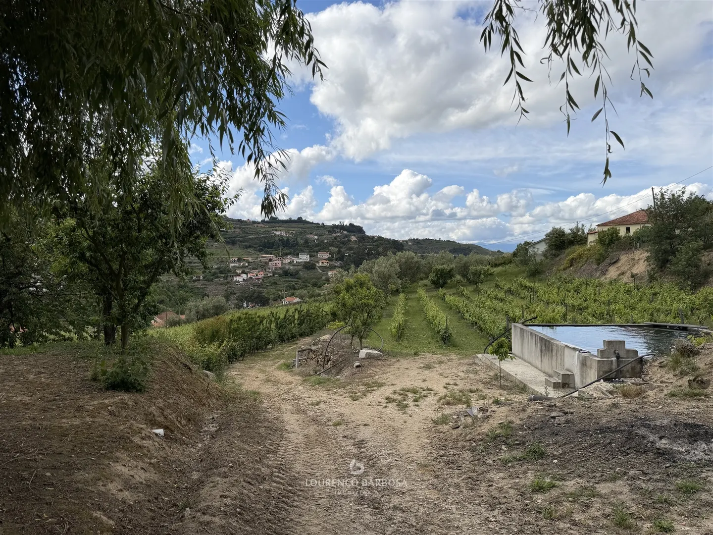 img_9