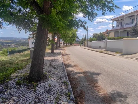 Terreno