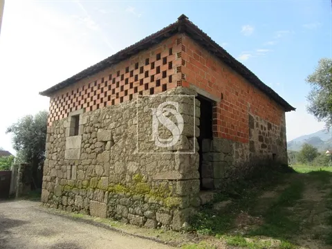 Quinta