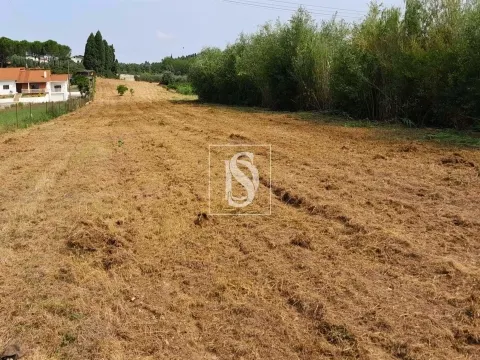 Terreno