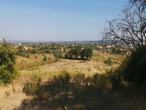 Terreno