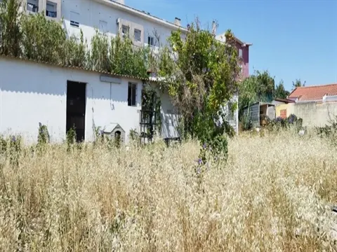 Terreno