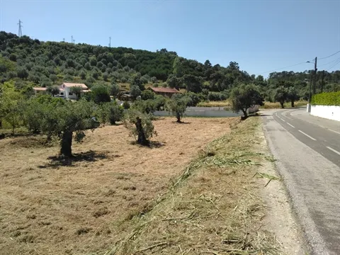 Terreno
