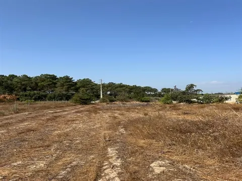 Terreno