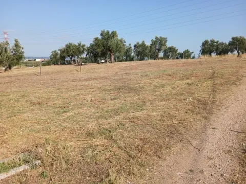 Terreno Para Construção
