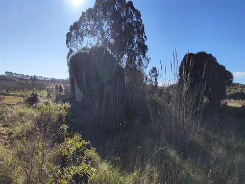 Terreno