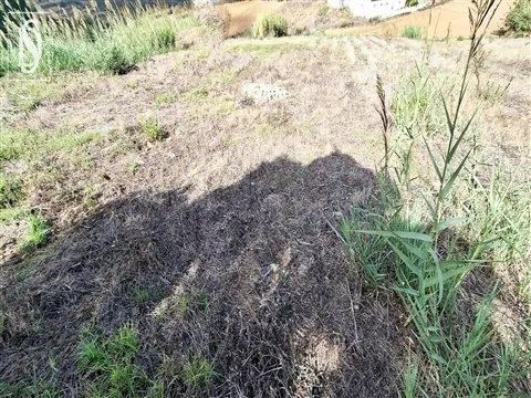 TERRENO URBANO COM VISTA MAR | ATALAIA, LOURINHÃ