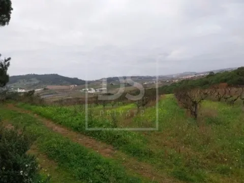 Terreno Rústico com Excelente Localização | Azueira – Mafra