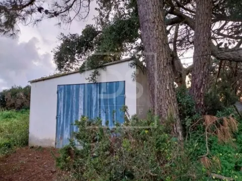 Terreno Rústico com Excelente Localização | Azueira – Mafra