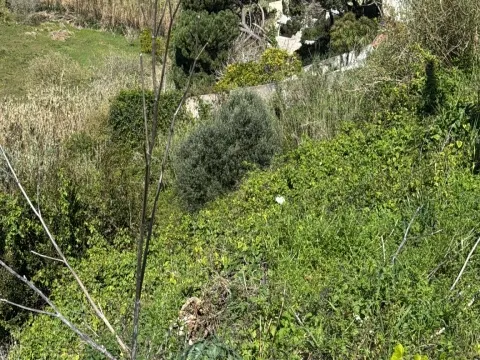 Terreno Urbano com Projeto Aprovado para 4 Moradias