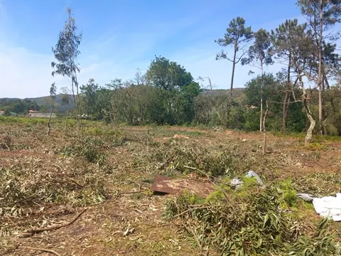 Terreno