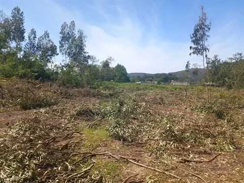 Terreno