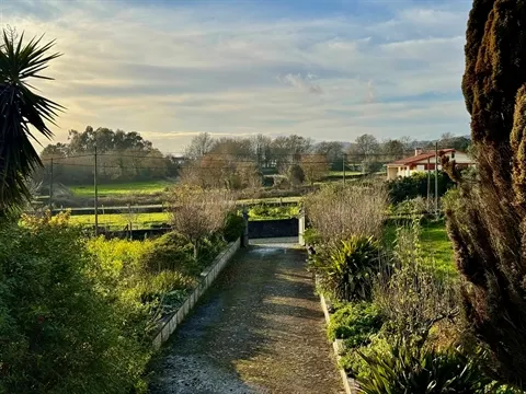 Quinta T5+1