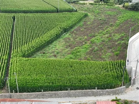 Terreno Urbano