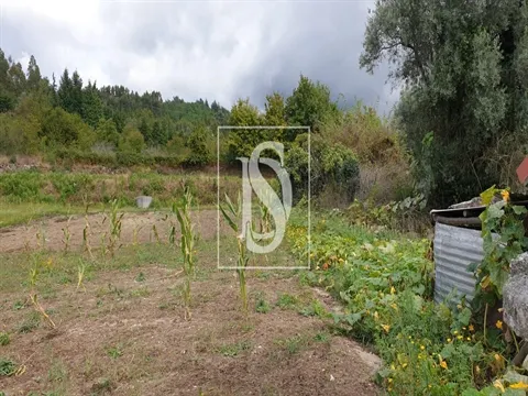 Moradia para Restaurar T3