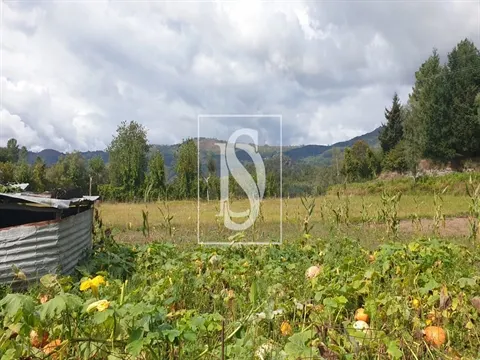 Moradia para Restaurar T3