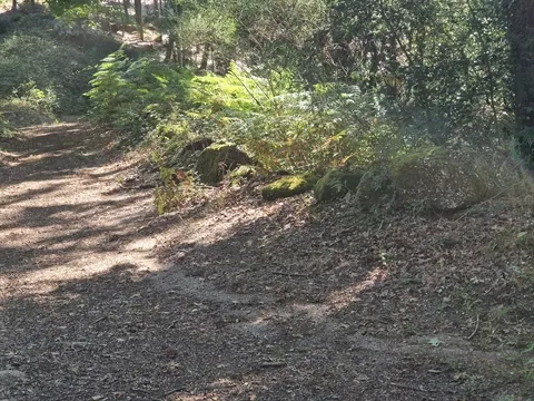 Terreno