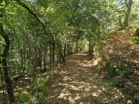 Terreno