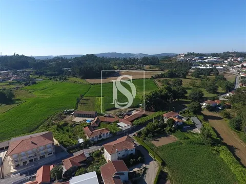 Quinta T3