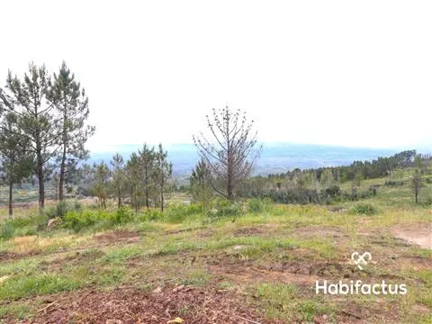 Lotissement de terrain