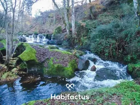 Terrain rural