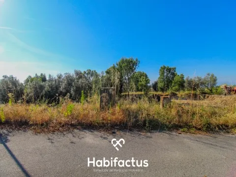 Lotissement de terrain