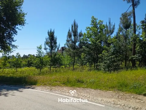Real estate land