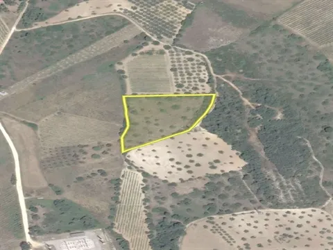 Terreno