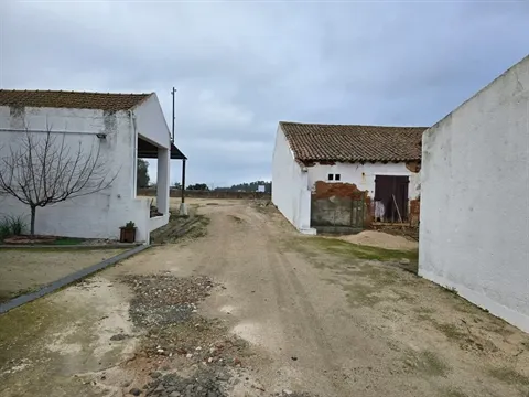 Quinta T3