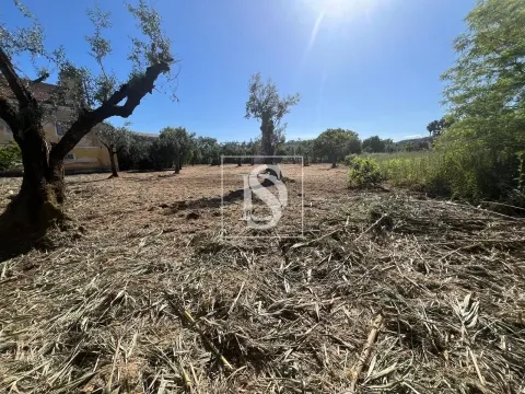 Terreno Urbano - Rossio ao Sul do Tejo - Abrantes