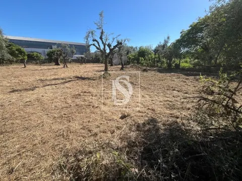 Terreno Urbano - Rossio ao Sul do Tejo - Abrantes