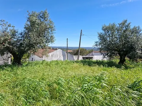 Terreno