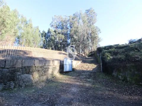 Terreno Rústico