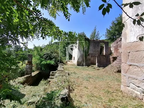 Quinta