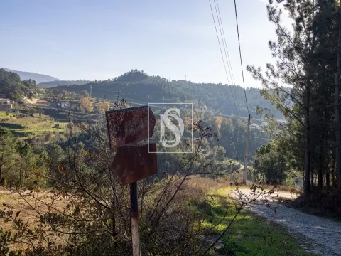 Terreno