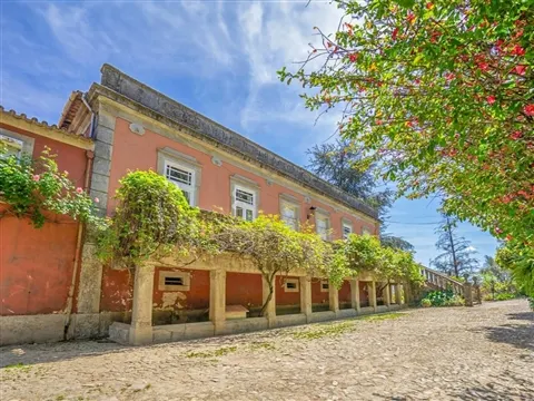 Magnifica Mansão > T10 - Vila Real/ Douro