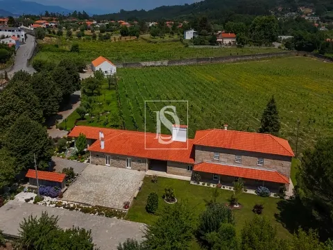 Quinta de Excelência no Coração do Minho com Produção Vinícola e de Castanha e com Várias Habitações