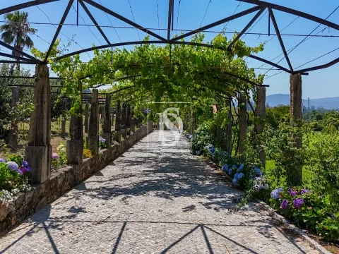 Quinta de Excelência no Coração do Minho com Produção Vinícola e de Castanha e com Várias Habitações