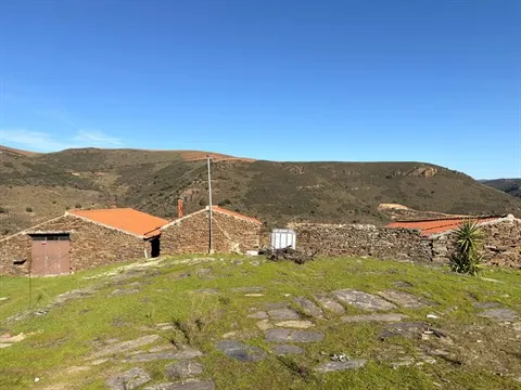 Quinta