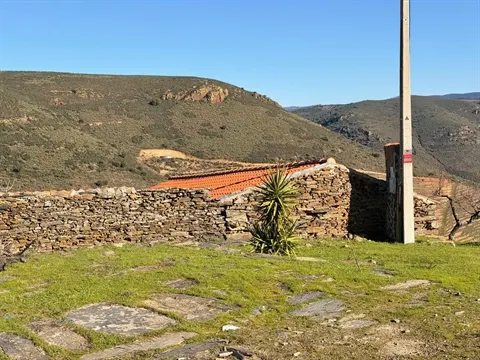 Quinta