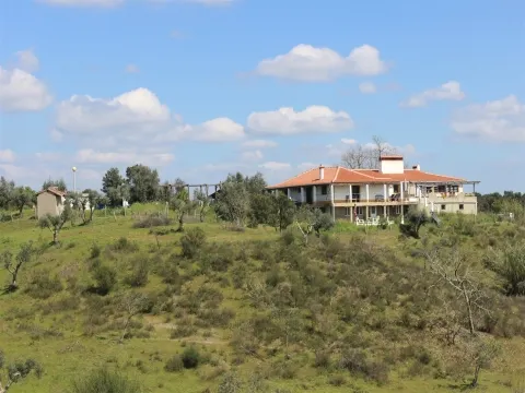 Quinta T5