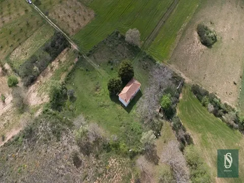Moradia