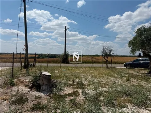 Terreno