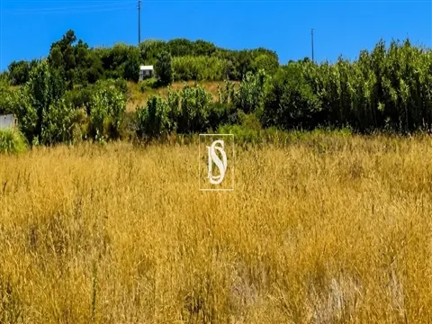 Terreno Venda