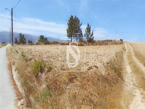 Real estate land