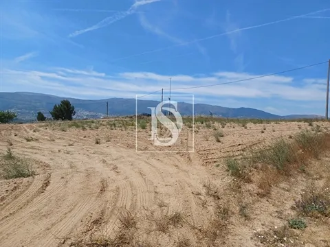 Real estate land