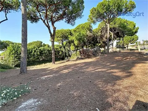 Terreno Urbano